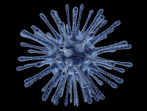 virus-infected-cells-213708_1280-1024x777
